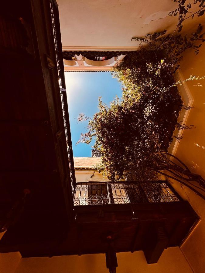 Riad Msholidays Bassin Privatise Marrakech Marrakesh Buitenkant foto