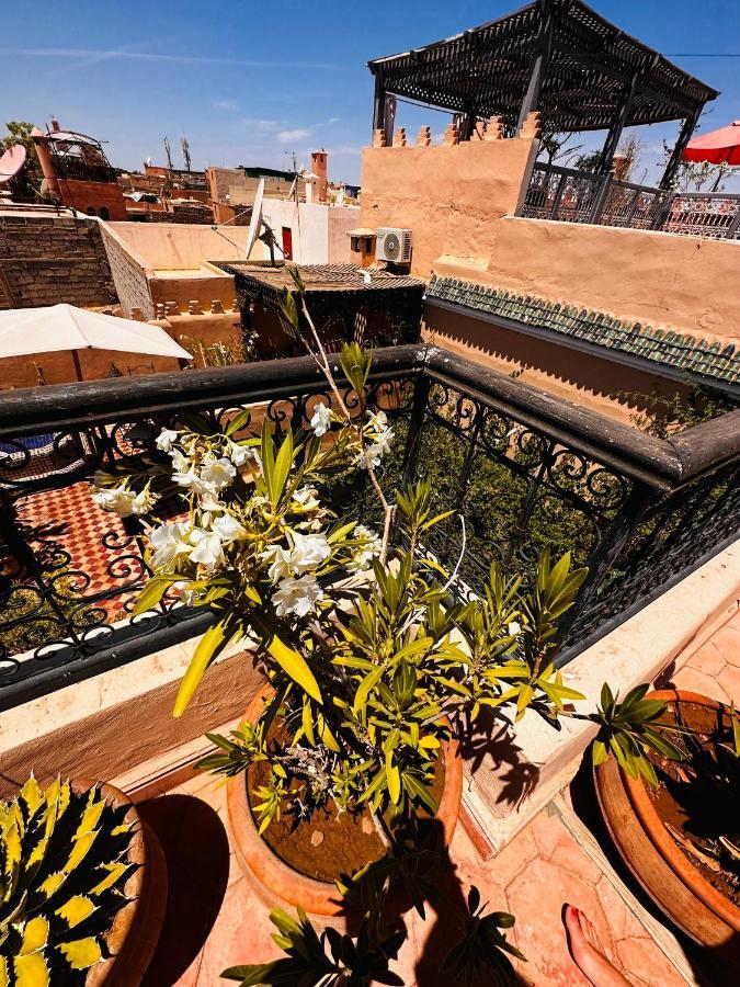 Riad Msholidays Bassin Privatise Marrakech Marrakesh Buitenkant foto